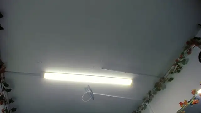Snapshot of LilaVelvet chatting on 23, 5, 2026 LilaVelvet online show from 23, 5, 2026