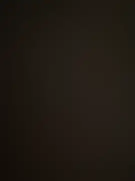 Barloo online show from 2, 12, 2025