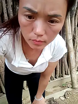 ngockem online show from 15, 5, 2026