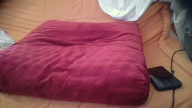 francesc0001 online show from 23, 4, 2026