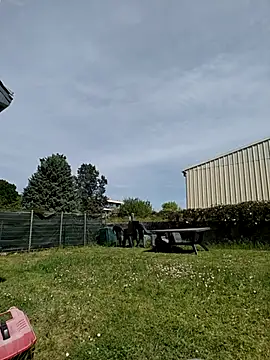 Osuleom29 online show from 25, 4, 2026