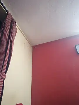 hornyflex ledger online show from 25, 4, 2026