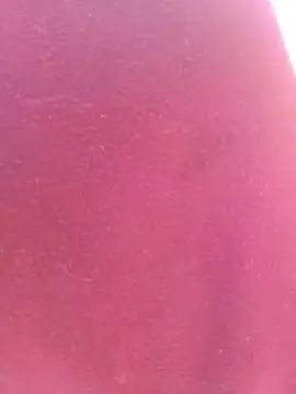 bombasexual online show from 6, 5, 2026