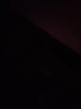 pussysandwitchboy online show from 8, 6, 2026