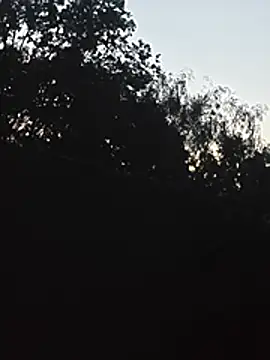 DanieleAleksandraDeRossii online show from 22, 6, 2026