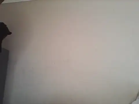 Tbangs  online show from 13, 6, 2026