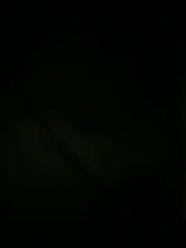 slutytransgal online show from 6, 5, 2026