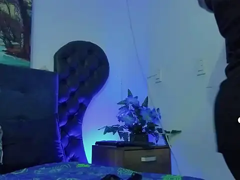 dreamycushions online show from 22, 5, 2026