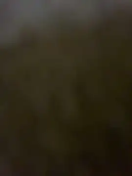 leoblazes online show from 19, 6, 2026