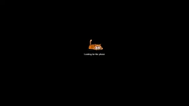Snapshot of bella-diaz chatting on 13, 7, 2026 bella-diaz online show from 13, 7, 2026