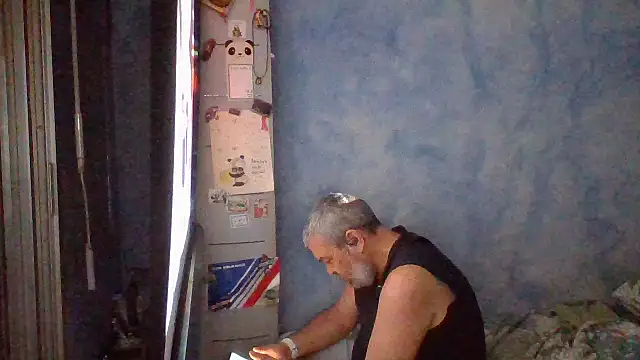 panda 06200 online show from 3, 6, 2026