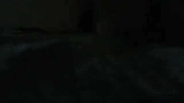 LilDaddyX online show from 14, 6, 2026