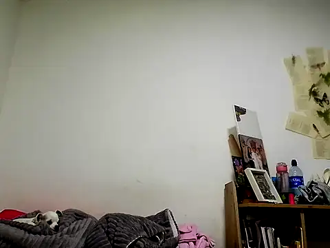 livi Moon online show from 8, 6, 2026