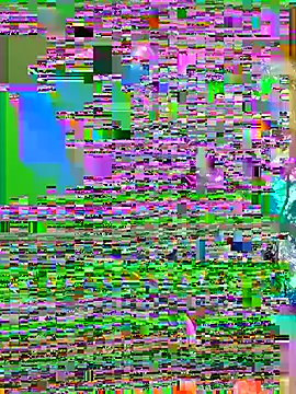 cycd3490 online show from 9, 7, 2026