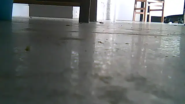 Snapshot of SirFrankonde chatting on 1, 8, 2026 SirFrankonde online show from 1, 8, 2026