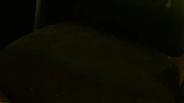 MagicCockMan online show from 20, 6, 2026