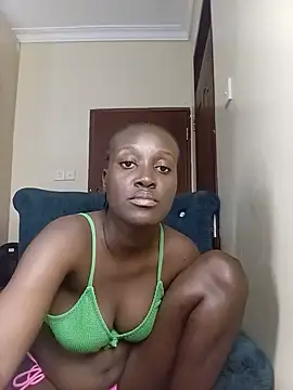 Blossome25 online show from 29, 6, 2026