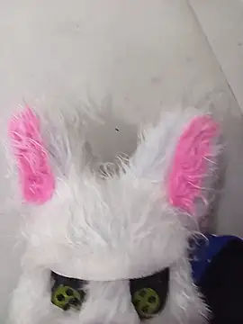 Happy rabbith online show from 15, 7, 2026