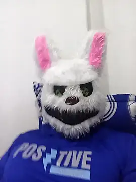 Happy rabbith online show from 29, 7, 2026