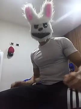 Happy rabbith online show from 3, 8, 2026