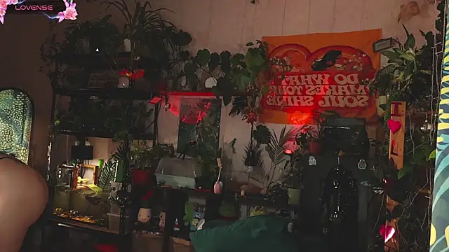 Snapshot of Dead_Butterfly chatting on 1, 11, 2025 Dead Butterfly online show from 1, 11, 2025