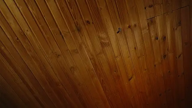 coraline latin online show from 25, 9, 2025