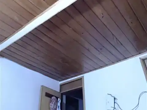 evolet01 online show from 6, 12, 2024