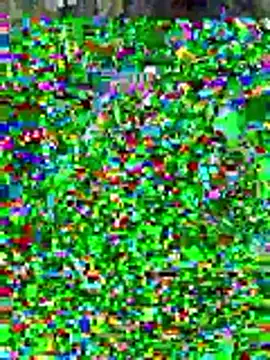 sissyvee online show from 15, 1, 2026