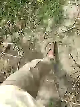 ThethunderPo online show from 25, 2, 2026