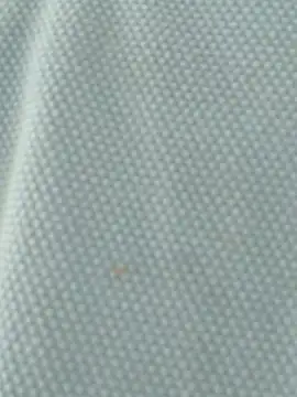 ThethunderPo online show from 5, 4, 2026