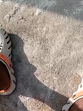 Bengali BULL1 online show from 22, 11, 2025