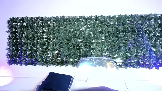 AbbyTaylorr online show from 2, 3, 2026