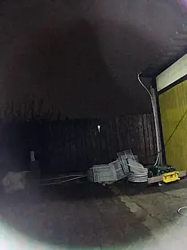 sarpe4 online show from 20, 11, 2025