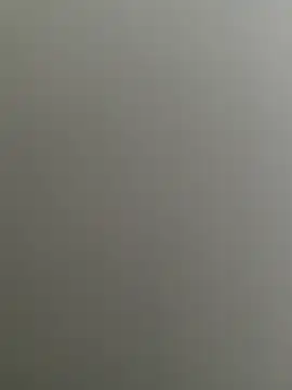 Bull8 online show from 26, 2, 2025