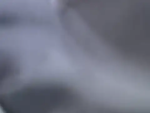 perescam online show from 15, 3, 2025