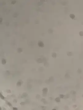 Lolo45605 online show from 4, 3, 2026