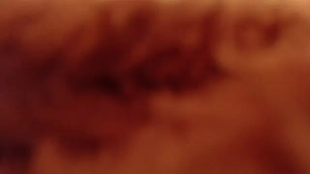 Snapshot of larawet chatting on 4, 1, 2025 larawet online show from 4, 1, 2025