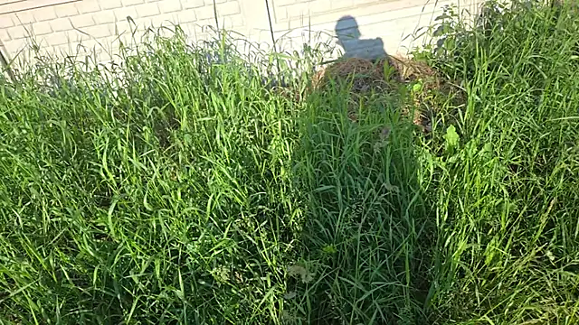 Snapshot of Vuitton chatting on 9, 6, 2026 Vuitton online show from 9, 6, 2026