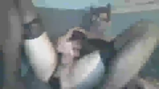 Snapshot of chceciedalsiebie chatting on 3, 2, 2026 chceciedalsiebie online show from 3, 2, 2026