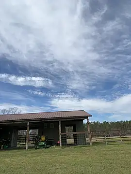 Sitonmyface2020xh online show from 3, 3, 2025