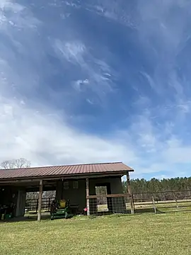 Sitonmyface2020xh online show from 3, 3, 2025