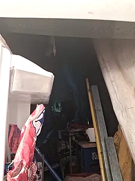 Toycockhot online show from 2, 12, 2025