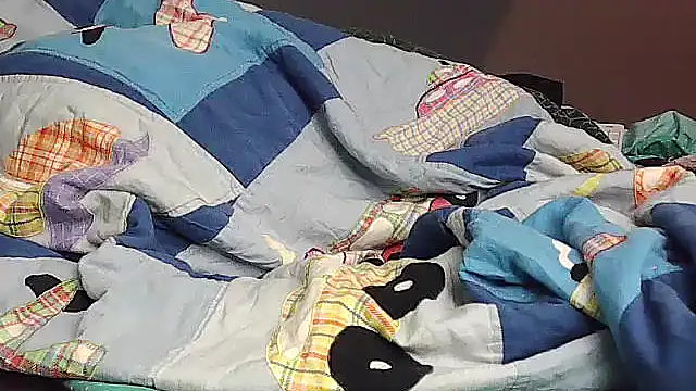 Snapshot of k-dong chatting on 29, 11, 2025 k-dong online show from 29, 11, 2025