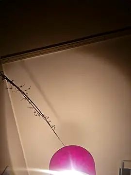 NiceHunter89 online show from 5, 2, 2025