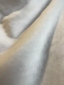 Snapshot of Aestheticsgirl chatting on 3, 3, 2026 Aestheticsgirl online show from 3, 3, 2026