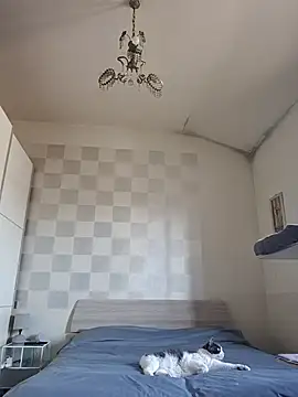 simona60 online show from 29, 3, 2026