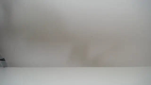 salomecastro  online show from 19, 11, 2025