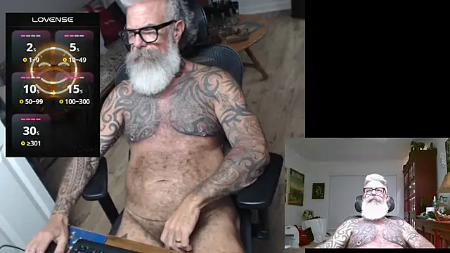 njdbear online show from 31, 7, 2026