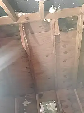 MaddyC6992 online show from 26, 12, 2024