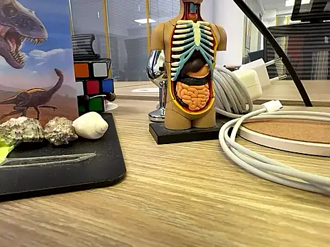 fmodel online show from 24, 9, 2025